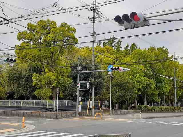 公園　蓮池裏公園（公園）まで716m