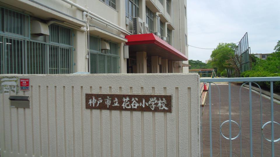 小学校　神戸市立花谷小学校（小学校）まで1934m