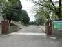 小学校　中井小学校（小学校）まで240m