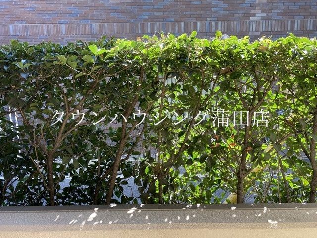 眺望　★タウンハウジング蒲田店取り扱い★