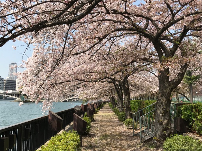 公園　南天満公園（公園）まで150m