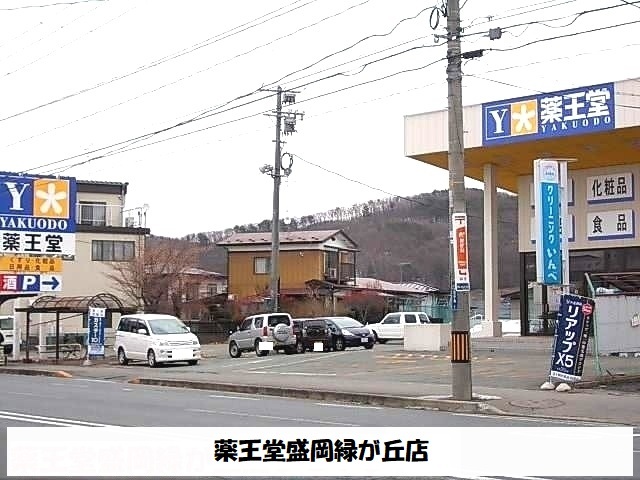 ドラックストア　薬王堂盛岡緑が丘店（ドラッグストア）まで350m