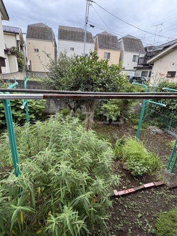 庭