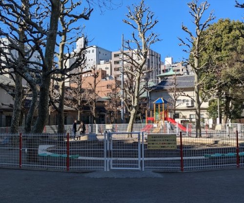 公園　精華公園（公園）まで67m