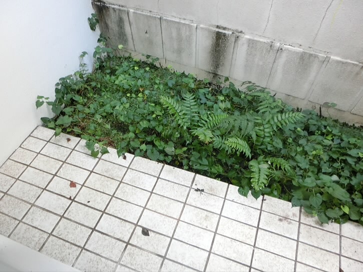 バルコニー　別号室の参考写真です。