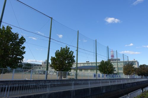 中学校　上甲子園中学校（中学校）まで378m