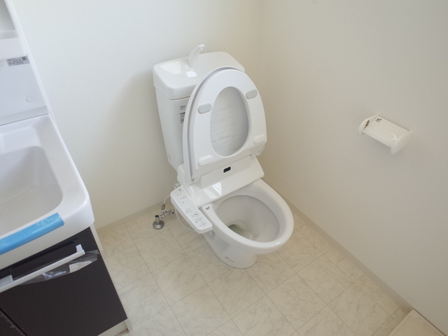 MIRAIE長田のトイレ写真