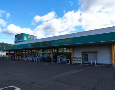 ドラックストア　ハシドラッグ 国見店（ドラッグストア）まで1000m