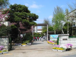 小学校　柏市立柏第一小学校（小学校）まで274m