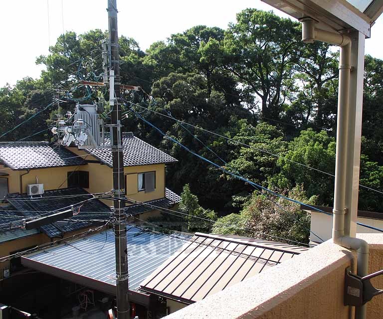 眺望　広々とした部屋です。
