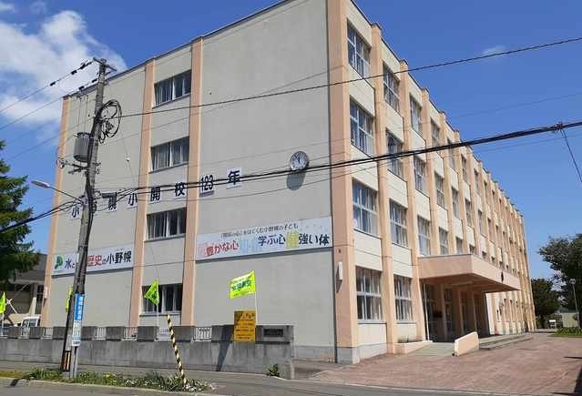 小学校　札幌市立小野幌小学校（小学校）まで1100m