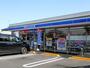 コンビニ　ローソン 栃木平柳町二丁目店（コンビニ）まで361m