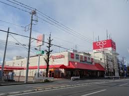 ショッピングセンター　オリンピックショッピングセンター川崎鹿島田店（ショッピングセンター）まで260m