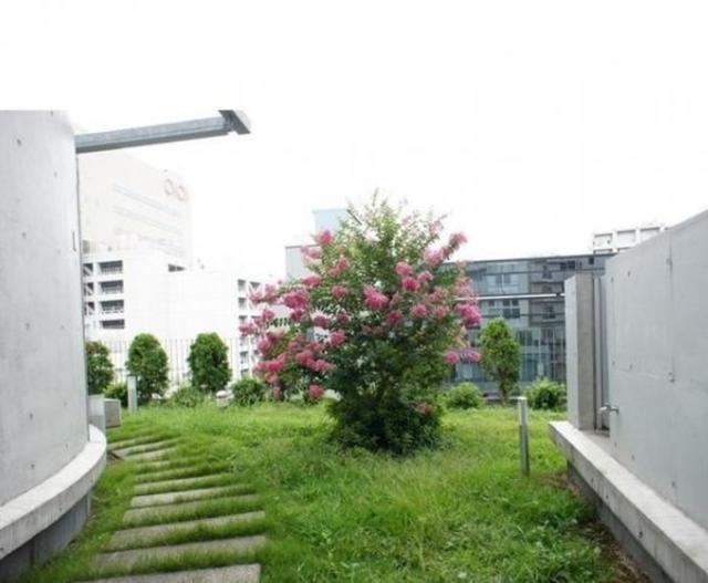 バルコニー　屋上庭園