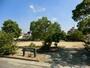 公園　伊孑志せせらぎ広場（公園）まで473m