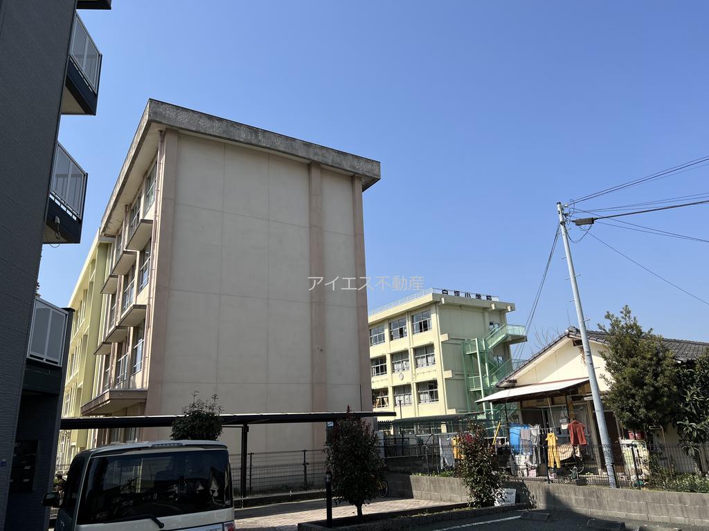 小学校　熊本市立白坪小学校（小学校）まで290m