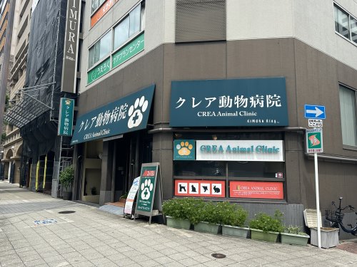 病院　クレア動物病院（病院）まで470m