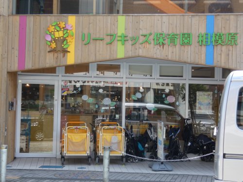 幼稚園・保育園　リーフキッズ保育園（幼稚園・保育園）まで1481m