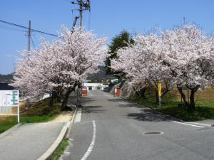 小学校　東広島市立中黒瀬小学校（小学校）まで1981m