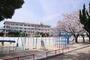 小学校　松戸市立八ケ崎第二小学校（小学校）まで580m