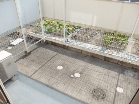 庭