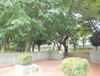 公園　善福寺川緑地公園（公園）まで80m