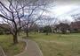 公園　大谷田南公園（公園）まで400m