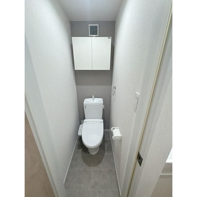 ラフィーネ生田IIのトイレ写真