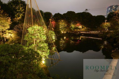 公園　目白庭園の紅葉ライトアップ 02（公園）まで1623m