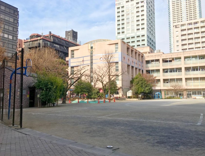 小学校　新宿区立花園小学校（小学校）まで240m