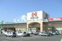 スーパー　ハローズ円山店（スーパー）まで584m