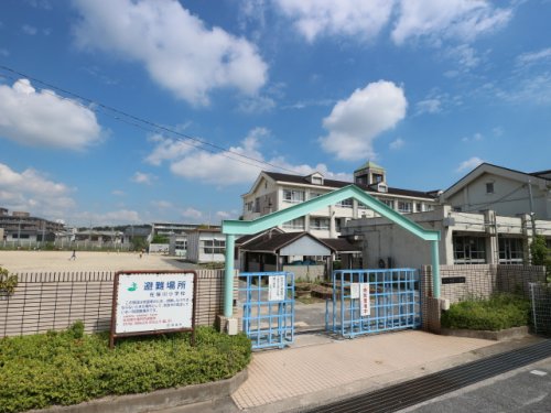 【奈良市芝辻町のアパートの小学校】