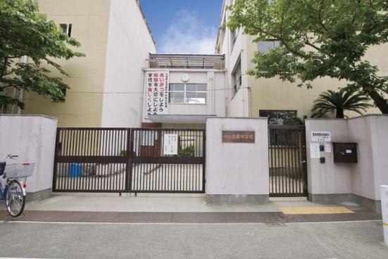 中学校　大阪市立加美中学校（中学校）まで794m