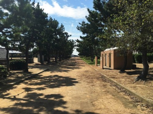 公園　望海浜公園（公園）まで524m