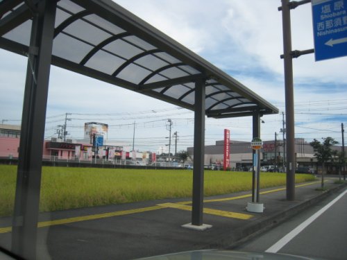 その他　市体育館前バス停（その他）まで444m