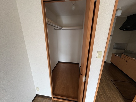 収納　※別部屋の写真です