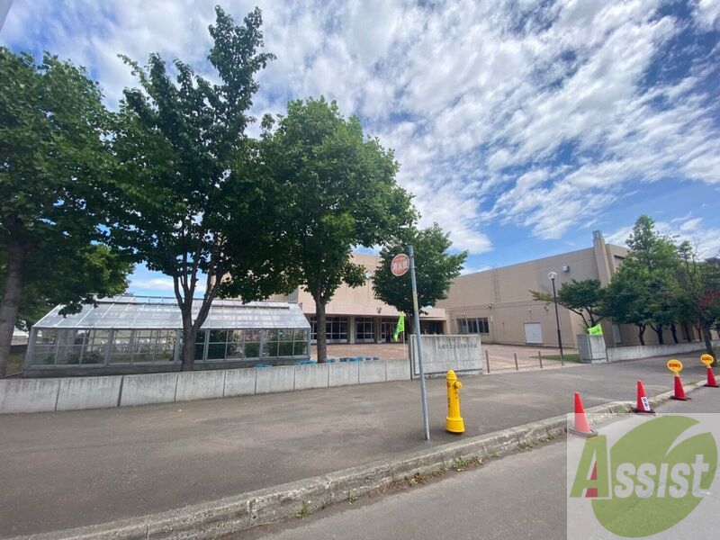 小学校　札幌市立百合が原小学校（小学校）まで266m