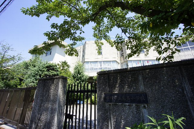 小学校　市川市立鬼高小学校（小学校）まで233m