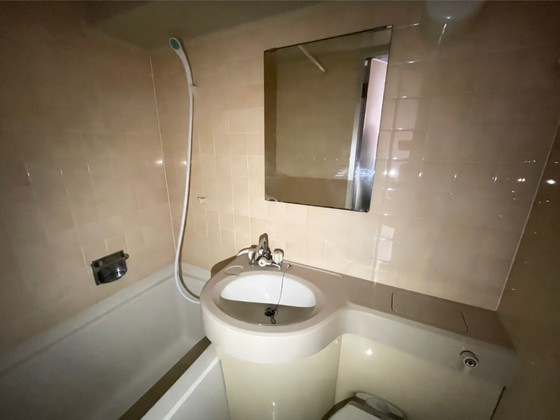 洗面設備　※別号室の写真です