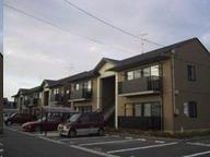 庭　イメージ写真