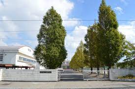 中学校　近江八幡市立八幡東中学校（中学校）まで2479m