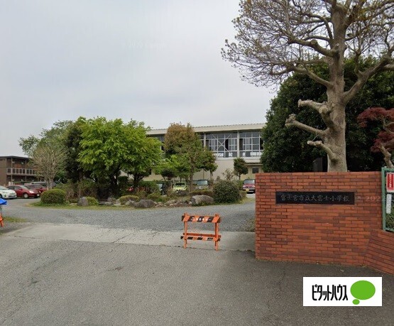 小学校　富士宮市立大富士小学校（小学校）まで499m