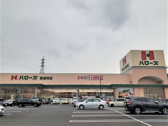 スーパー　ハローズ善通寺店（スーパー）まで500m