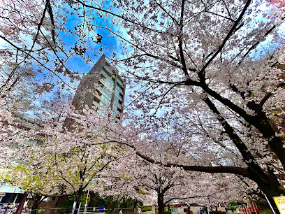 公園　桜川公園（公園）まで533m