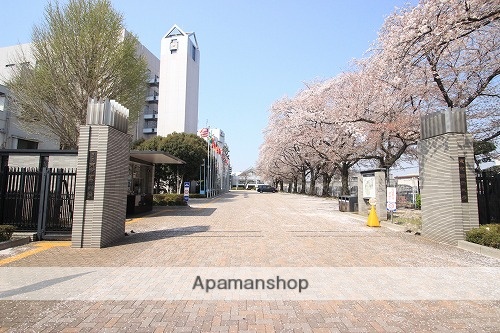 大学・短大　私立東京国際大学（大学・短大）まで343m