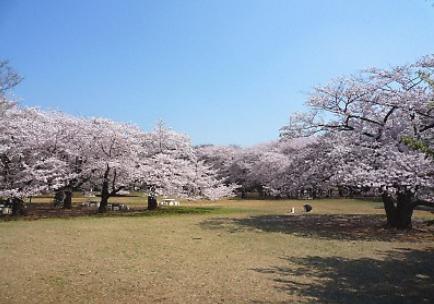 公園　光が丘公園（公園）まで1694m