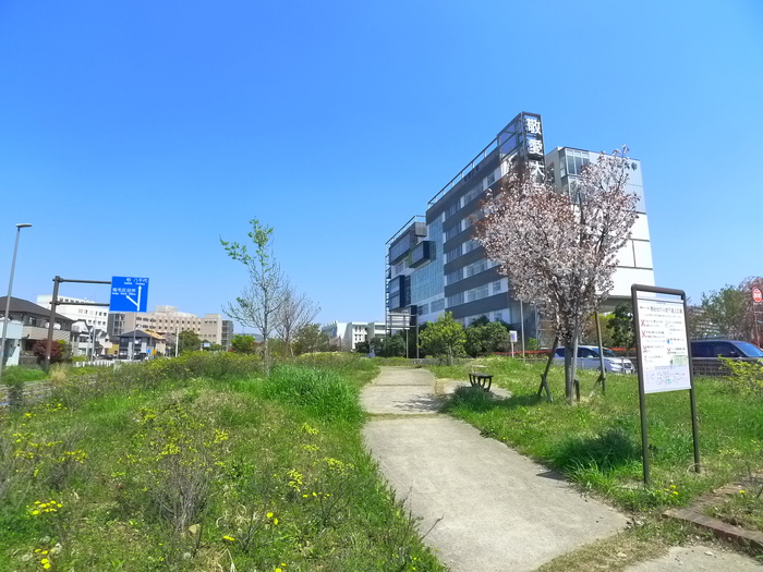 大学・短大　敬愛大学（大学・短大）まで1300m