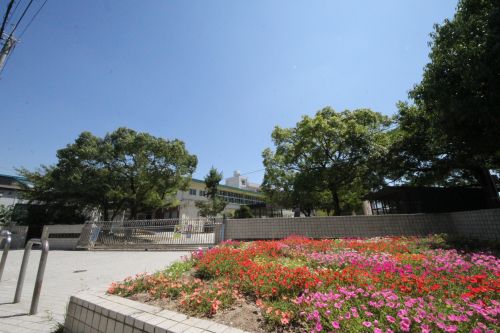 小学校　明石市立魚住小学校（小学校）まで252m
