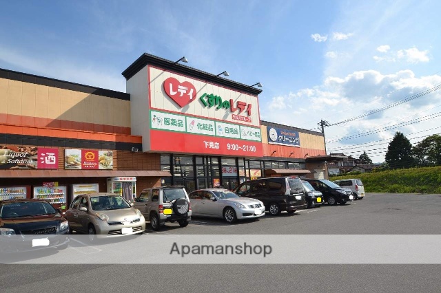 ドラックストア　レディ薬局下見店（ドラッグストア）まで1000m