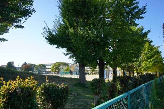 小学校　豊川市立中部小学校（小学校）まで358m